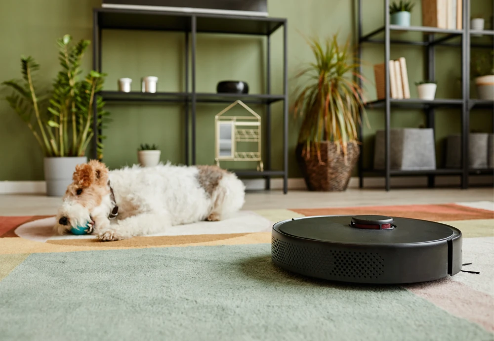 what is the best robot vacuum cleaner